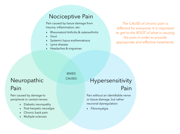 Three Circle Venn Diagram about Chronic Pain