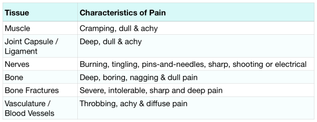 The Characteristics of Pain in Body Tissue